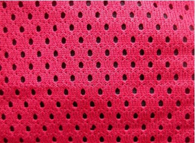 HP-YN  反光桃形網眼布  成份：100%滌綸  紗支75D 45度照